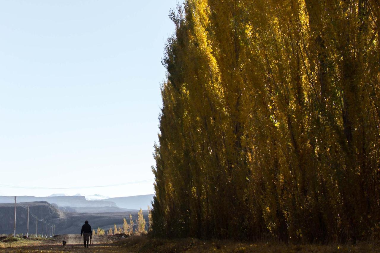 Hotel Rio Tarde Casa Patagonica Lago Posadas Zewnętrze zdjęcie